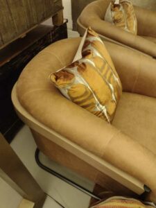 image from Santa Fe NM May 2024