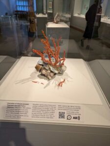 SeattleSAM-May2025-212 Image from Seattle Art Museum trip May 2025