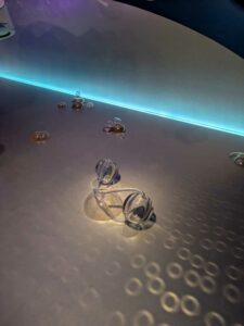 SeattleSAM-May2025-294 Image from Seattle Art Museum trip May 2025