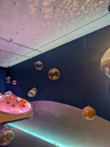 SeattleSAM-May2025-296 Image from Seattle Art Museum trip May 2025