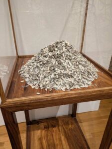 SeattleSAM-May2025-32 Image from Seattle Art Museum trip May 2025