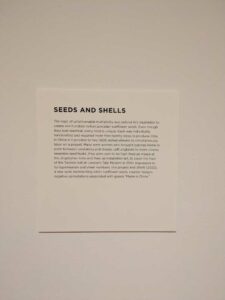 SeattleSAM-May2025-44 Image from Seattle Art Museum trip May 2025