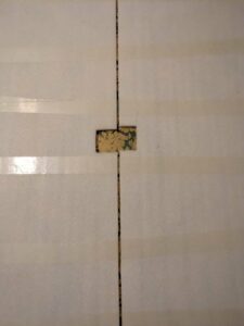 SeattleSAM-May2025-52 Image from Seattle Art Museum trip May 2025