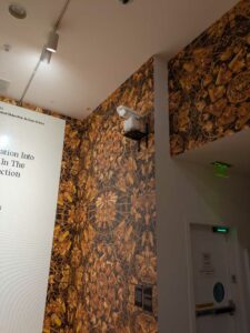 SeattleSAM-May2025-72 Image from Seattle Art Museum trip May 2025