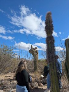 SonoranDesertMuseumJan2025-1 image from Arizona Sonoran Desert Museum in Tucson AZ