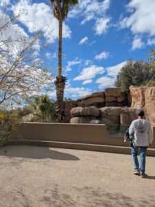 SonoranDesertMuseumJan2025-102 image from Arizona Sonoran Desert Museum in Tucson AZ