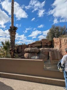 SonoranDesertMuseumJan2025-103 image from Arizona Sonoran Desert Museum in Tucson AZ