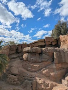SonoranDesertMuseumJan2025-104 image from Arizona Sonoran Desert Museum in Tucson AZ