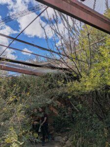 SonoranDesertMuseumJan2025-139 image from Arizona Sonoran Desert Museum in Tucson AZ