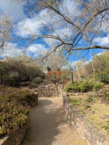 SonoranDesertMuseumJan2025-142 image from Arizona Sonoran Desert Museum in Tucson AZ
