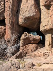 SonoranDesertMuseumJan2025-41 image from Arizona Sonoran Desert Museum in Tucson AZ