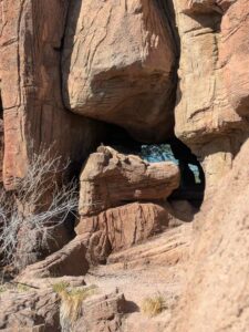 SonoranDesertMuseumJan2025-42 image from Arizona Sonoran Desert Museum in Tucson AZ