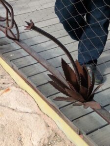 SonoranDesertMuseumJan2025-49 image from Arizona Sonoran Desert Museum in Tucson AZ