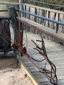 SonoranDesertMuseumJan2025-50 image from Arizona Sonoran Desert Museum in Tucson AZ