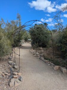 SonoranDesertMuseumJan2025-98 image from Arizona Sonoran Desert Museum in Tucson AZ