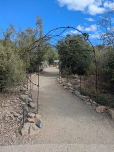SonoranDesertMuseumJan2025-99 image from Arizona Sonoran Desert Museum in Tucson AZ