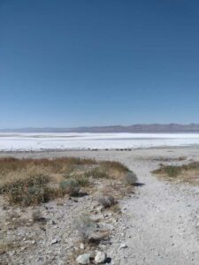 StansburyIslandGreatSaltLake-1 image from Stansbury Island area of the Great Salt Lake in Utah