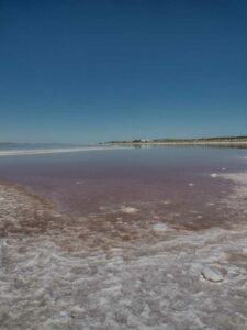 StansburyIslandGreatSaltLake-12 image from Stansbury Island area of the Great Salt Lake in Utah