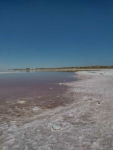 StansburyIslandGreatSaltLake-13 image from Stansbury Island area of the Great Salt Lake in Utah