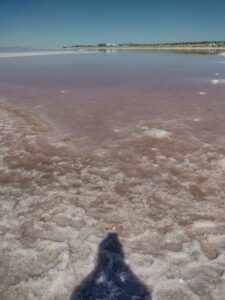 StansburyIslandGreatSaltLake-14 image from Stansbury Island area of the Great Salt Lake in Utah