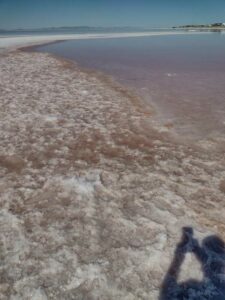 StansburyIslandGreatSaltLake-15 image from Stansbury Island area of the Great Salt Lake in Utah