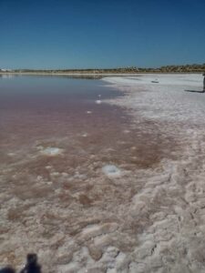 StansburyIslandGreatSaltLake-16 image from Stansbury Island area of the Great Salt Lake in Utah