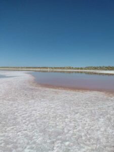 StansburyIslandGreatSaltLake-23 image from Stansbury Island area of the Great Salt Lake in Utah