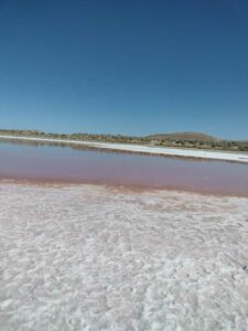 StansburyIslandGreatSaltLake-24 image from Stansbury Island area of the Great Salt Lake in Utah