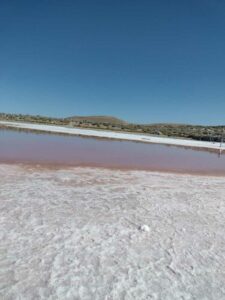 StansburyIslandGreatSaltLake-25 image from Stansbury Island area of the Great Salt Lake in Utah
