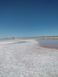 StansburyIslandGreatSaltLake-26 image from Stansbury Island area of the Great Salt Lake in Utah