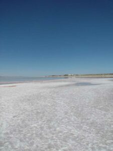 StansburyIslandGreatSaltLake-27 image from Stansbury Island area of the Great Salt Lake in Utah