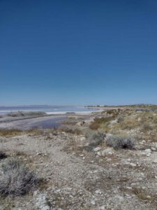 StansburyIslandGreatSaltLake-3 image from Stansbury Island area of the Great Salt Lake in Utah