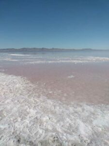 StansburyIslandGreatSaltLake-30 image from Stansbury Island area of the Great Salt Lake in Utah