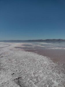 StansburyIslandGreatSaltLake-32 image from Stansbury Island area of the Great Salt Lake in Utah