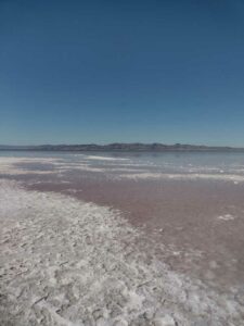 StansburyIslandGreatSaltLake-33 image from Stansbury Island area of the Great Salt Lake in Utah
