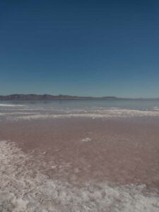StansburyIslandGreatSaltLake-35 image from Stansbury Island area of the Great Salt Lake in Utah