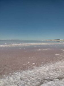 StansburyIslandGreatSaltLake-37 image from Stansbury Island area of the Great Salt Lake in Utah