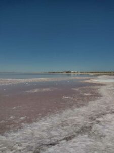 StansburyIslandGreatSaltLake-38 image from Stansbury Island area of the Great Salt Lake in Utah