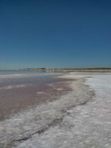 StansburyIslandGreatSaltLake-39 image from Stansbury Island area of the Great Salt Lake in Utah
