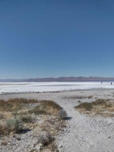 StansburyIslandGreatSaltLake-4 image from Stansbury Island area of the Great Salt Lake in Utah