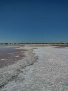 StansburyIslandGreatSaltLake-40 image from Stansbury Island area of the Great Salt Lake in Utah