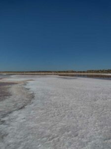 StansburyIslandGreatSaltLake-41 image from Stansbury Island area of the Great Salt Lake in Utah
