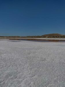 StansburyIslandGreatSaltLake-43 image from Stansbury Island area of the Great Salt Lake in Utah