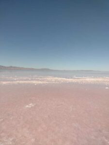 StansburyIslandGreatSaltLake-47 image from Stansbury Island area of the Great Salt Lake in Utah