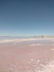 StansburyIslandGreatSaltLake-49 image from Stansbury Island area of the Great Salt Lake in Utah