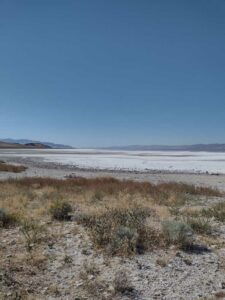 StansburyIslandGreatSaltLake-5 image from Stansbury Island area of the Great Salt Lake in Utah
