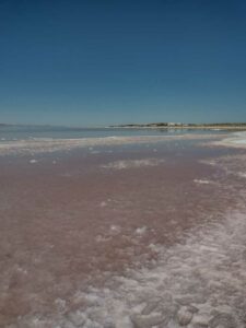 StansburyIslandGreatSaltLake-50 image from Stansbury Island area of the Great Salt Lake in Utah