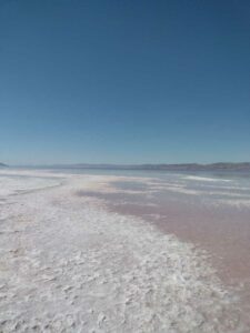 StansburyIslandGreatSaltLake-56 image from Stansbury Island area of the Great Salt Lake in Utah