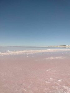 StansburyIslandGreatSaltLake-60 image from Stansbury Island area of the Great Salt Lake in Utah
