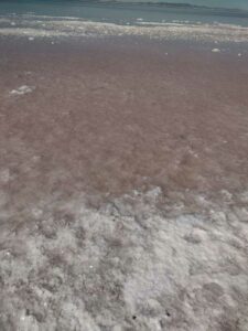 StansburyIslandGreatSaltLake-61 image from Stansbury Island area of the Great Salt Lake in Utah